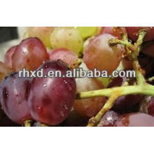 2013 New Crop best fresh red grapes Red Grapered grape skin extract